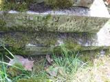 image of grave number 443583